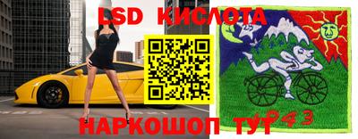 сатива Каменск-Шахтинский