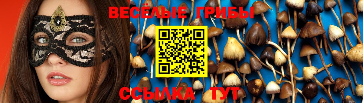 Псилоцибиновые грибы мухоморы Набережные Челны